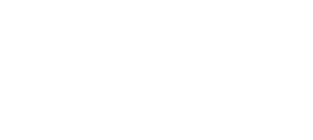 VTMS